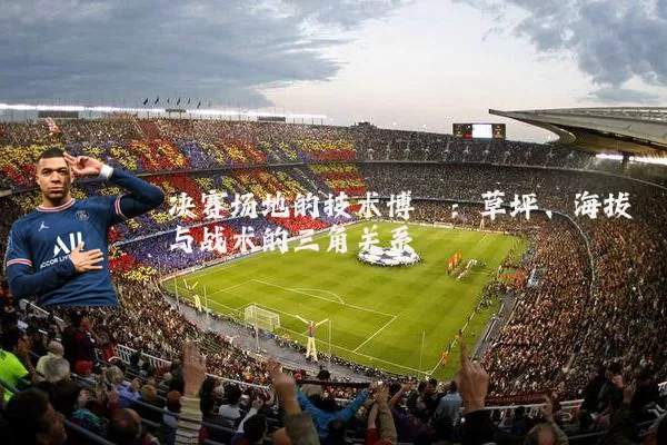 决赛场地的技术博弈:草坪、海拔与战术的三角关系
